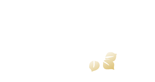 aspen rustic logo